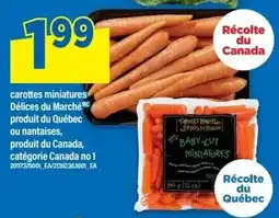 Maxi Delices du Marche carottes miniatures offer