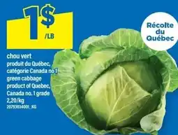 Maxi green cabbage offer