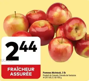 Pommes McIntosh