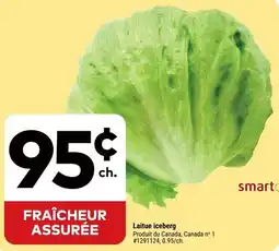 Giant Tiger Laitue iceberg offer