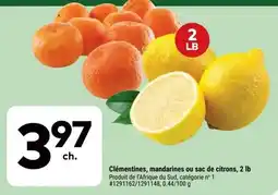 Giant Tiger Clémentines, mandarines ou sac de citrons offer