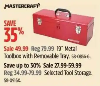 Mastercraft 19" Metal Toolbox with Removable Tray