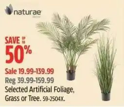 Canadian Tire Naturaе Selected Artificial Foliage, Grass or Tree offer