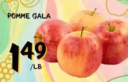 Marche Salaberry POMME GALA offer