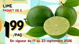 Marche Salaberry LIME offer