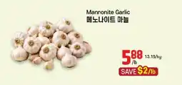 Galleria Supermarket Mannonite Garlic offer