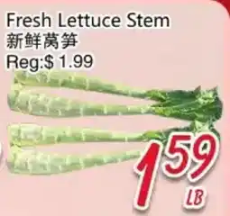 Foody Mart Fresh Lettuce Stem offer