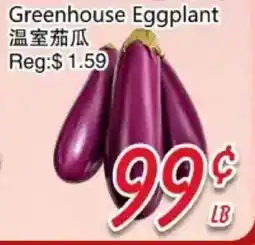 Foody Mart Greenhouse Eggplant offer