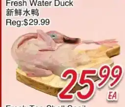 Foody Mart Fresh Water Duck offer