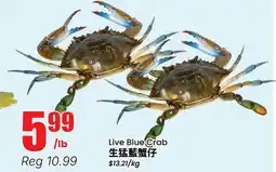 Btrust Supermarket Live Blue Crab offer