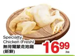 T&T Supermarket SPECIALTY CHICKEN offer