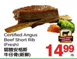 T&T Supermarket CERTIFIED ANGUS BEEF SHORT RIB offer