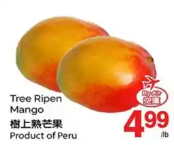 T&T Supermarket TREE RIPEN MANGO offer