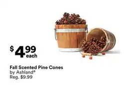 Michaels Fall Scented Pine Cones by Ashland offer