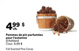 Michaels Pommes de pin parfumées pour l'automne d'Ashland offer