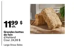 Michaels Grandes botes de foin d'Ashland offer