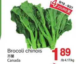 T&T Supermarket BROCOLI CHINOIS offer
