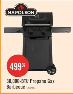 The Brick 30,000-BTU Propane Gas Barbecue offer