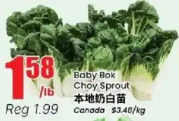 Btrust Supermarket Baby Bok Choy Sprout offer