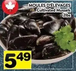 Supermarché PA Cultivated Mussels offer