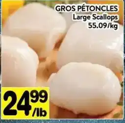 Supermarché PA Large Scallops offer