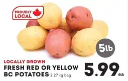 Market Place IGA Fresh Red Or Yellow Bc Potatoes offer