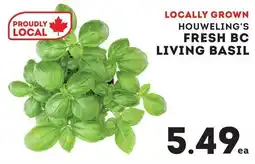 Market Place IGA Houweling's fresh bc living basil offer