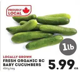 Market Place IGA Fresh Organic Bc Baby Cucumbers offer