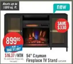 The Brick 54" Cayman Fireplace TV Stand offer