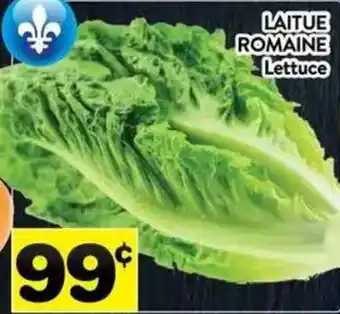 Lettuce