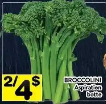 Broccolini