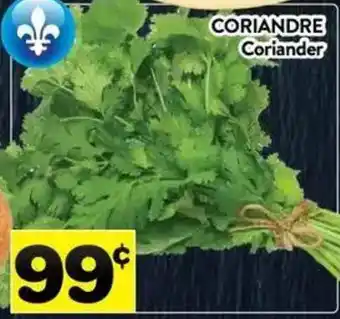 Coriander