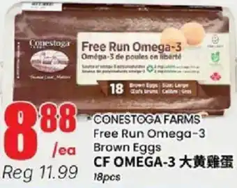 Conestoga Farms Free Run Omega-3 Brown Eggs