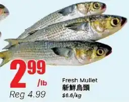 Btrust Supermarket Fresh Mullet offer