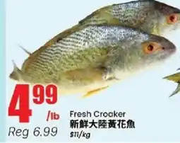 Btrust Supermarket Fresh Croaker offer