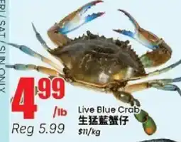 Btrust Supermarket Live Blue Crab offer