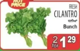 Sabzi Mandi Supermarket Cilantro offer