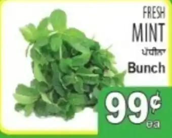 Fresh Mint Bunch
