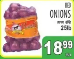 Sabzi Mandi Supermarket Red Onions offer