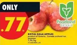 No Frills Royal gala apples offer