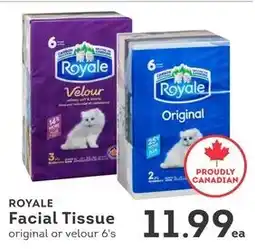 IGA Royale facial tissue offer