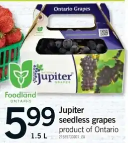 Fortinos Jupiter seedless grapes offer