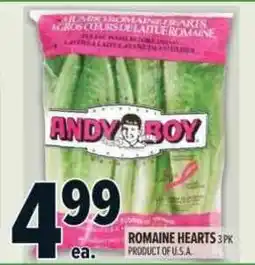 Metro Andy boy romaine hearts offer