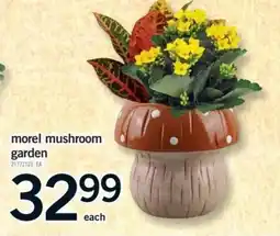 Fortinos morel mushroom garden offer