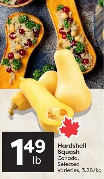 Hardshell Squash
