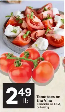 Quality Foods Tomatoes on the Vine offer