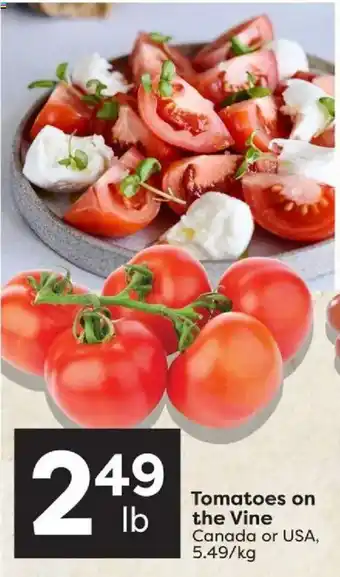 Tomatoes on the Vine