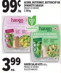 Metro Haven salad kits offer