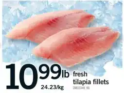 Fortinos fresh tilapia fillets offer