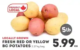 IGA Fresh Red Or Yellow Bc Potatoes offer